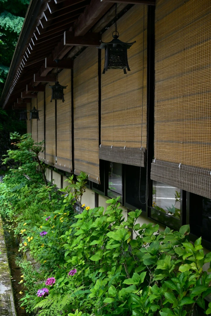 Traditional japanese building with bamboo blinds and lush greenery.
